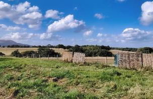 Orchard Cottages at Gorton House - Foto 40