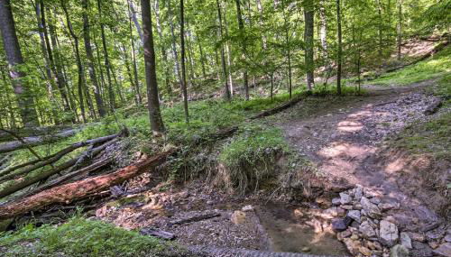 Cozy Cockeysville Retreat with Furnished Deck! - Photo 4