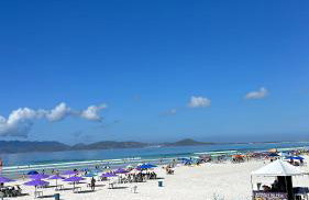 Apartamento Aconchegante Praia do Forte - Foto 1