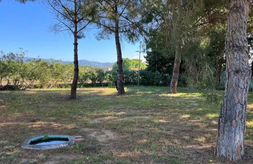 Casa olivar de Riudoms - Foto 8