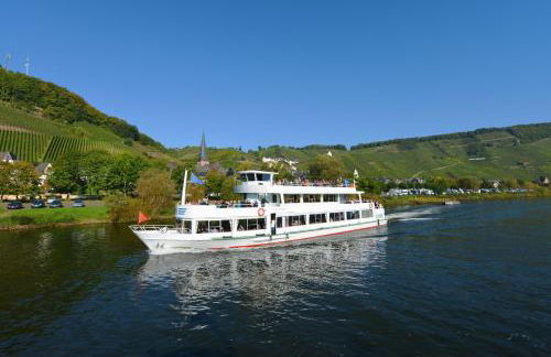 Ferienhaus Am Moselstausee - Foto 61