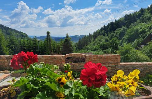 Podgórska Odskocznia - Foto 33