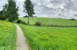 Top modernes Appartement mit Blick ins Grüne - Foto 30