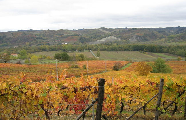 Guest House in Monferrato With Wine Tasting - Foto 31