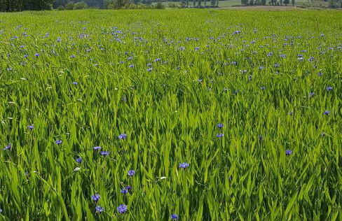 Apartment Curly - Foto 23