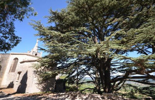 La maison d'Anthonie, Roussillon - Foto 19