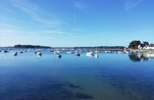 Les Villas de Locmiquel BORD DE MER - Photo 60