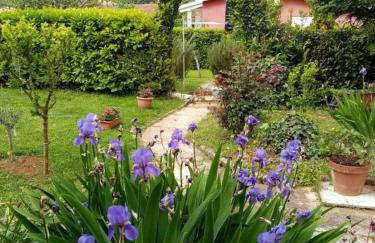 Apartment in Savudrija with Terrace, Air conditioning, Wi-Fi (4577-2) - Foto 12