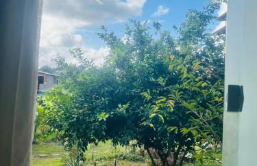 Ilha de Boipeba kitnets para temporada - Morada dos Pássaros Boipeba - Foto 63