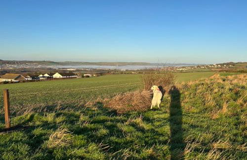 Stylish Cabin in East Sussex near Newhaven ferry - Foto 5