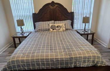 Beautiful And Modern, Valrico Apartment - Foto 16