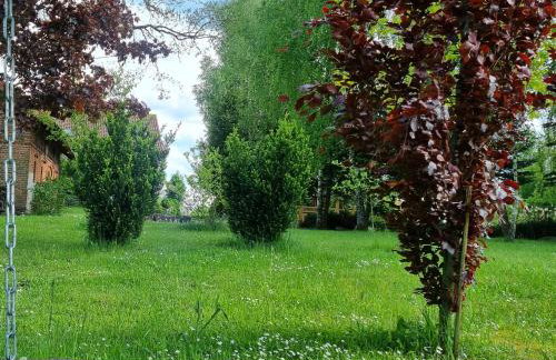 Agroturystyka Pod Dębem - Foto 49