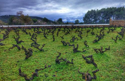 Agroturismo Sa Vinya d'en Palerm - Foto 7