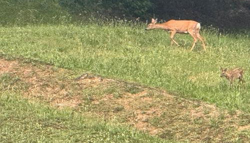 La corte dei celti -10 - Foto 5