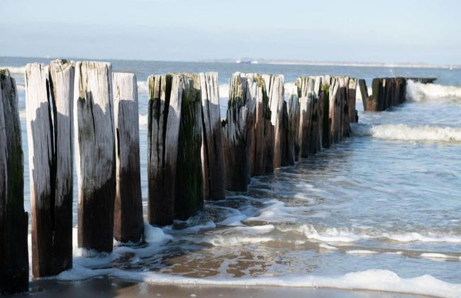Cozy Chalet Near Breskens Sea - Photo 26