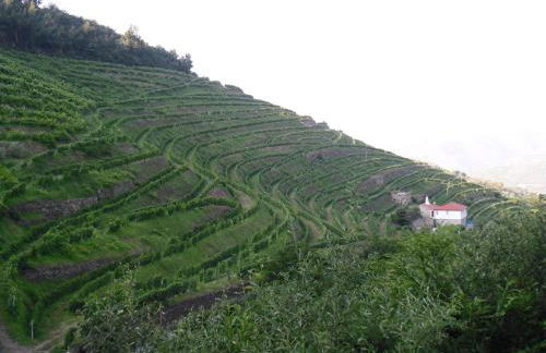 Casa da Quinta do Porto - Foto 45