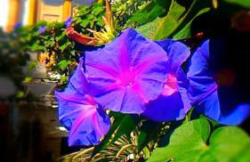 Cortile Suez - Foto 6