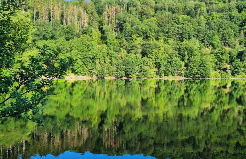 Ferienwohnung am Rursee - Photo 16