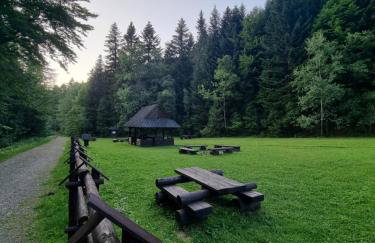 Przytulne Apartamenciki tuż przy Termach i Parku, nieopodal szlak na Turbacz, GPN, KGP - Foto 45