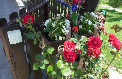 House Petra - Foto 30