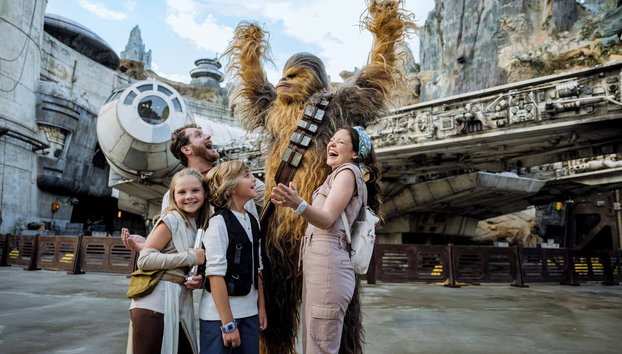 Excursion à Disney World Orlando - Photo 4