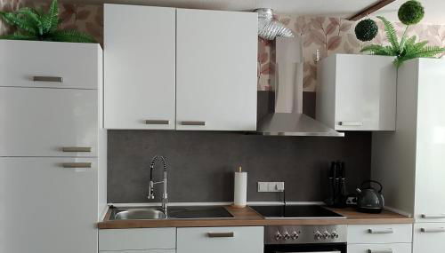 Nähe Plohn Park - FEWO mit Spielzimmer und Balkon sowie Doppelzimmer mit eigenem Bad - Foto 5