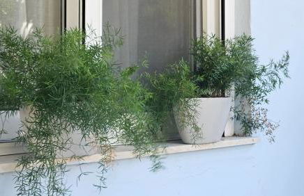 OASIS Central 007 - Foto 22