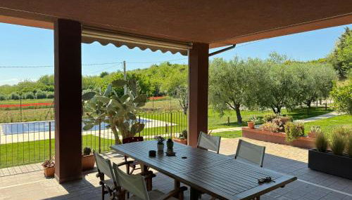 La casa delle fragole - Foto 5