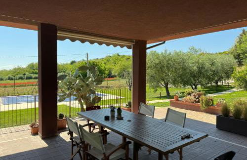 La casa delle fragole - Foto 5