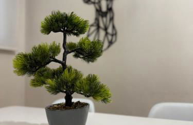 Apartamento céntrico con garaje - Foto 7