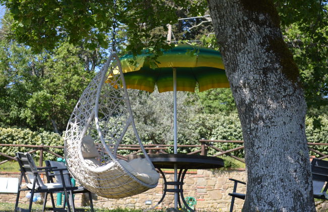 A spasso tra gli ulivi - Foto 14