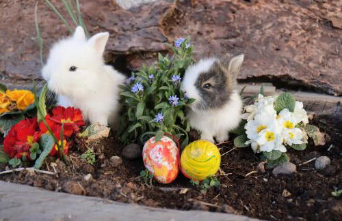 Unterplattnerhof - Photo 22