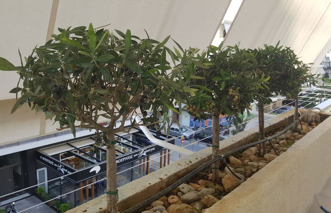 Captain's Luxury Suite - Photo 30