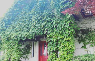 Stasiówka Gospodarstwo Agroturystyczne - Foto 13