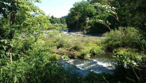 Ferienhaus im Grünen - NEU mit E-Auto Ladesäule - Foto 5