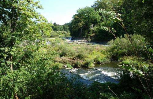 Ferienhaus im Grünen - NEU mit E-Auto Ladesäule - Foto 5