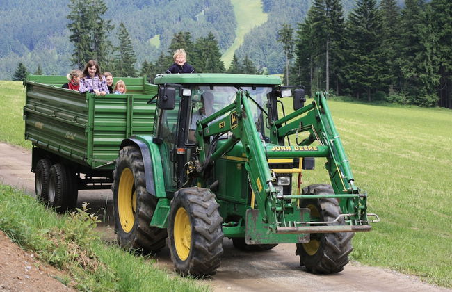 Erlebnishof Reiner - Foto 21