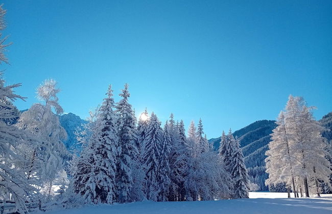 Secluded Apartment in Ferlach near Bodental Ski Lift - Photo 25