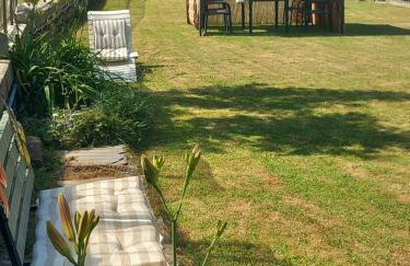 The Green Owl - Foto 9