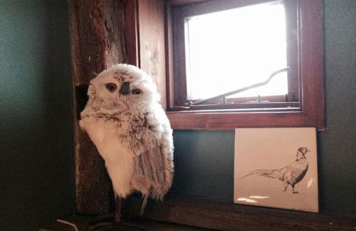 Charming Tudor riverside house - Foto 60