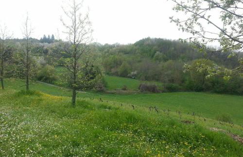 Casa intera tra le colline e le vigne del Dolcetto - Foto 39