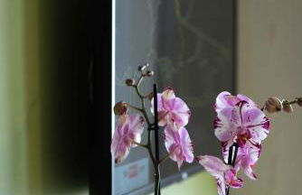 Residence Il Melograno - Foto 20