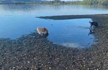 Charming stone Bothy at Loch Lomond - Foto 28