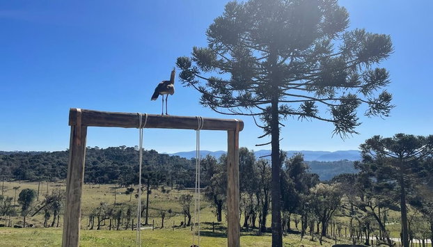 Pousada Recanto das Cachoeiras Urubici - Foto 4, Terraza o patio