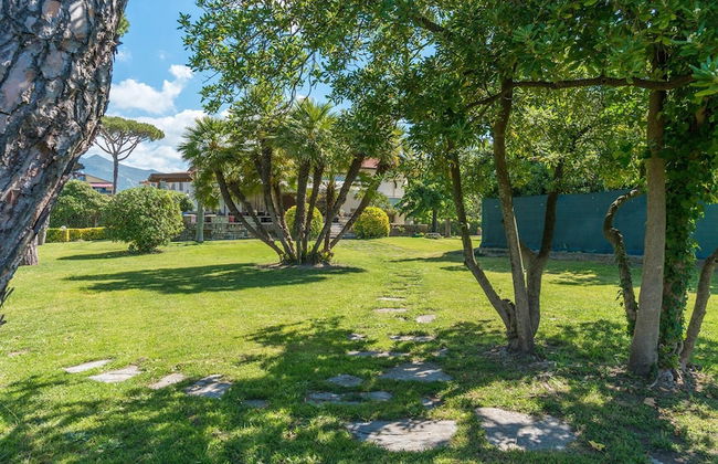 Ms-f023-manz11at - Il Renzito 8 - Foto 32