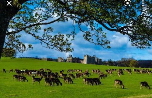 Barford barn holiday cottage - Foto 33