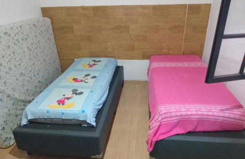 Mirante da mata - Photo 10