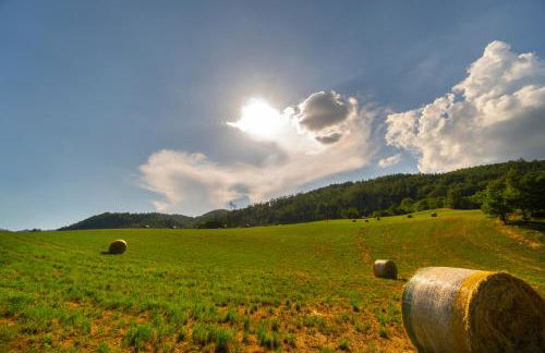 La Cartiera dei Benandanti - Foto 15