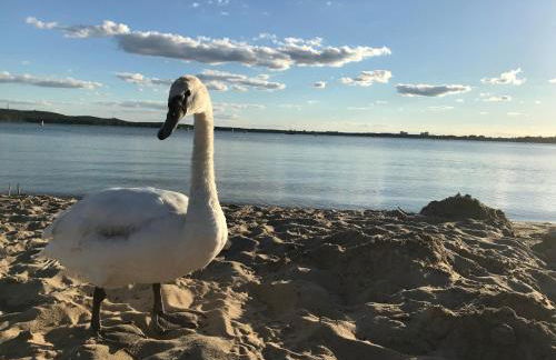 Mediterrane Luxusferienwohnung 5, Berlin- Köpenick, Am Müggelsee - Foto 21