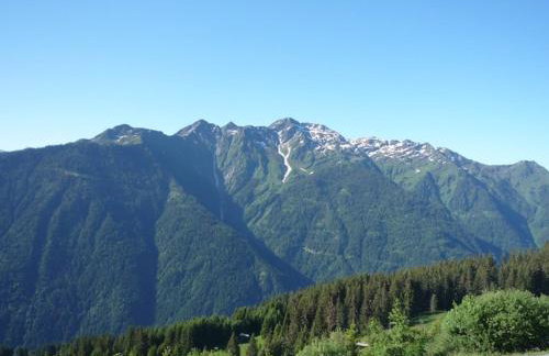 Charmant T3 avec garage et animaux acceptés - FR-1-293-254 - Foto 16